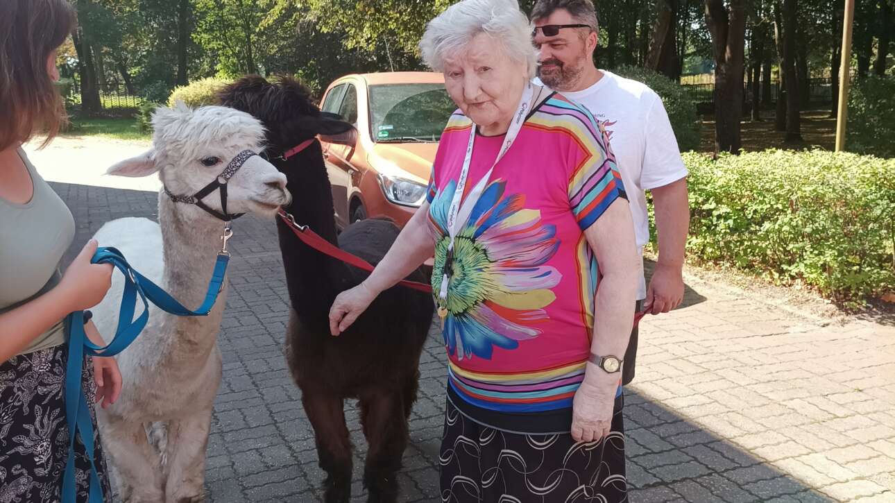 Na zdjęciu znajduje się mieszkanka w różowej bluzce. Obok niej stoją dwie alpaki, czarna i biała.